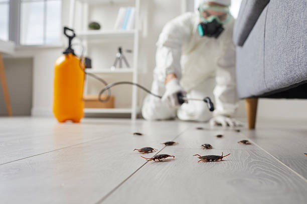 Commercial Kitchen Cockroach Control in Prince Frederick